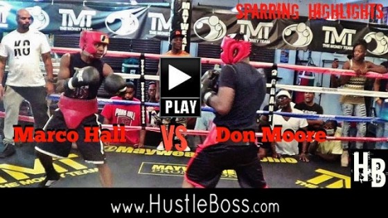 Don vs Marcos SPARRING